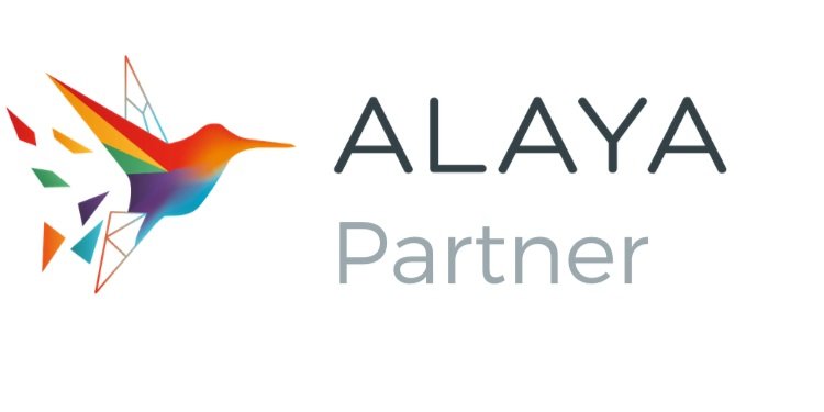 Alaya-NPO-Partner-logo.jpg
