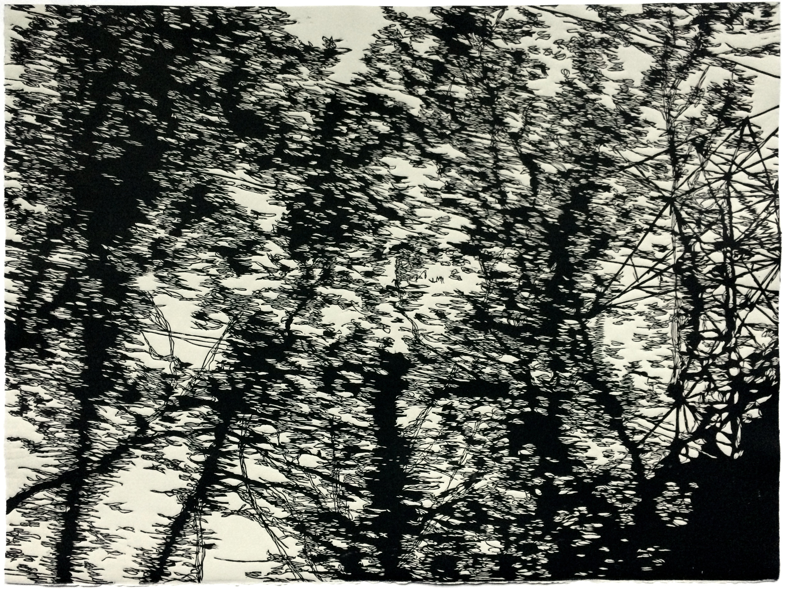 DSCF4037, 2012
