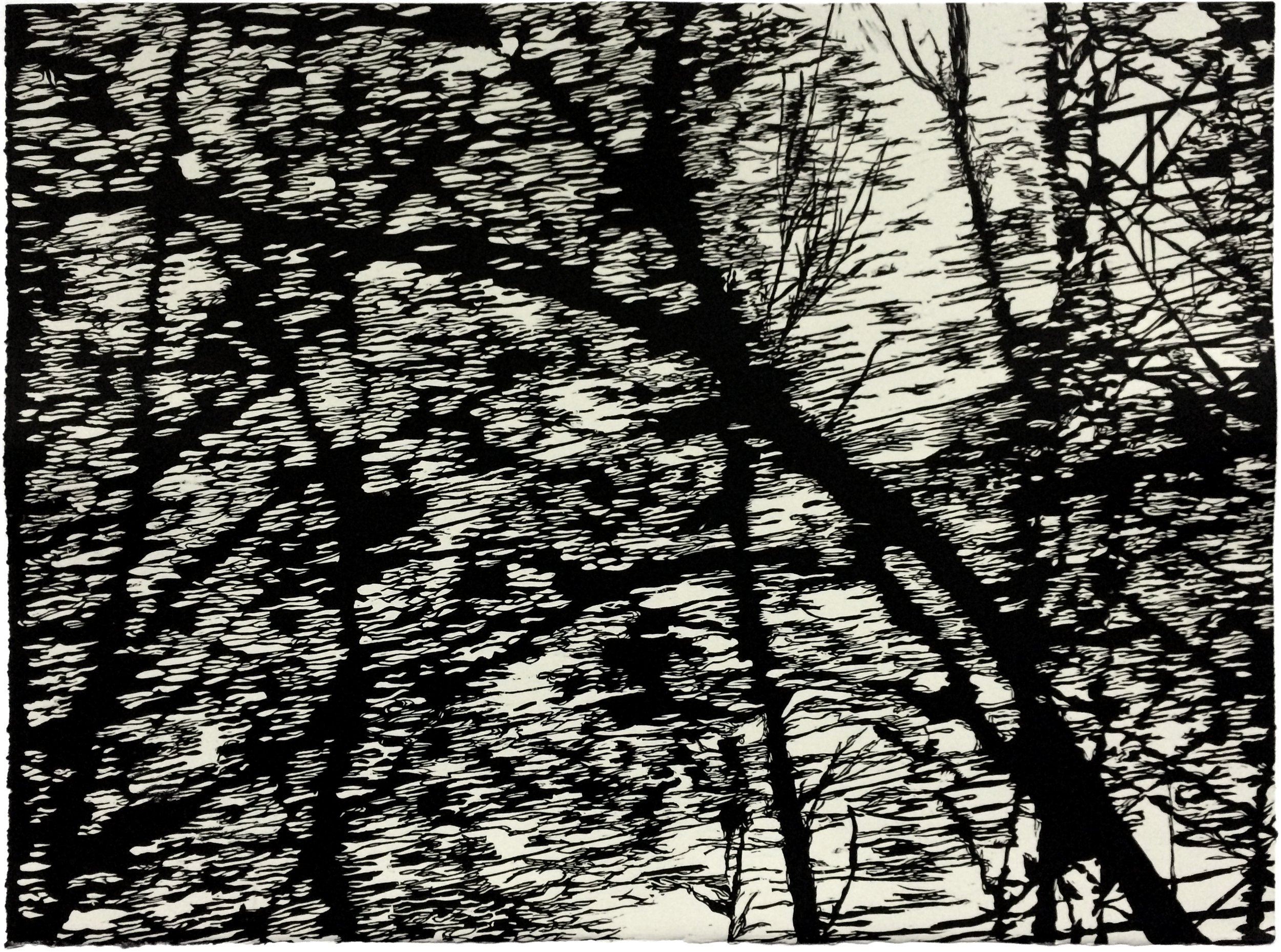 DSCF4038, 2011