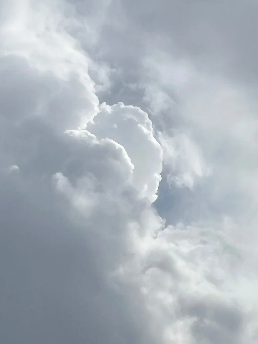 My Journey to Normalcy