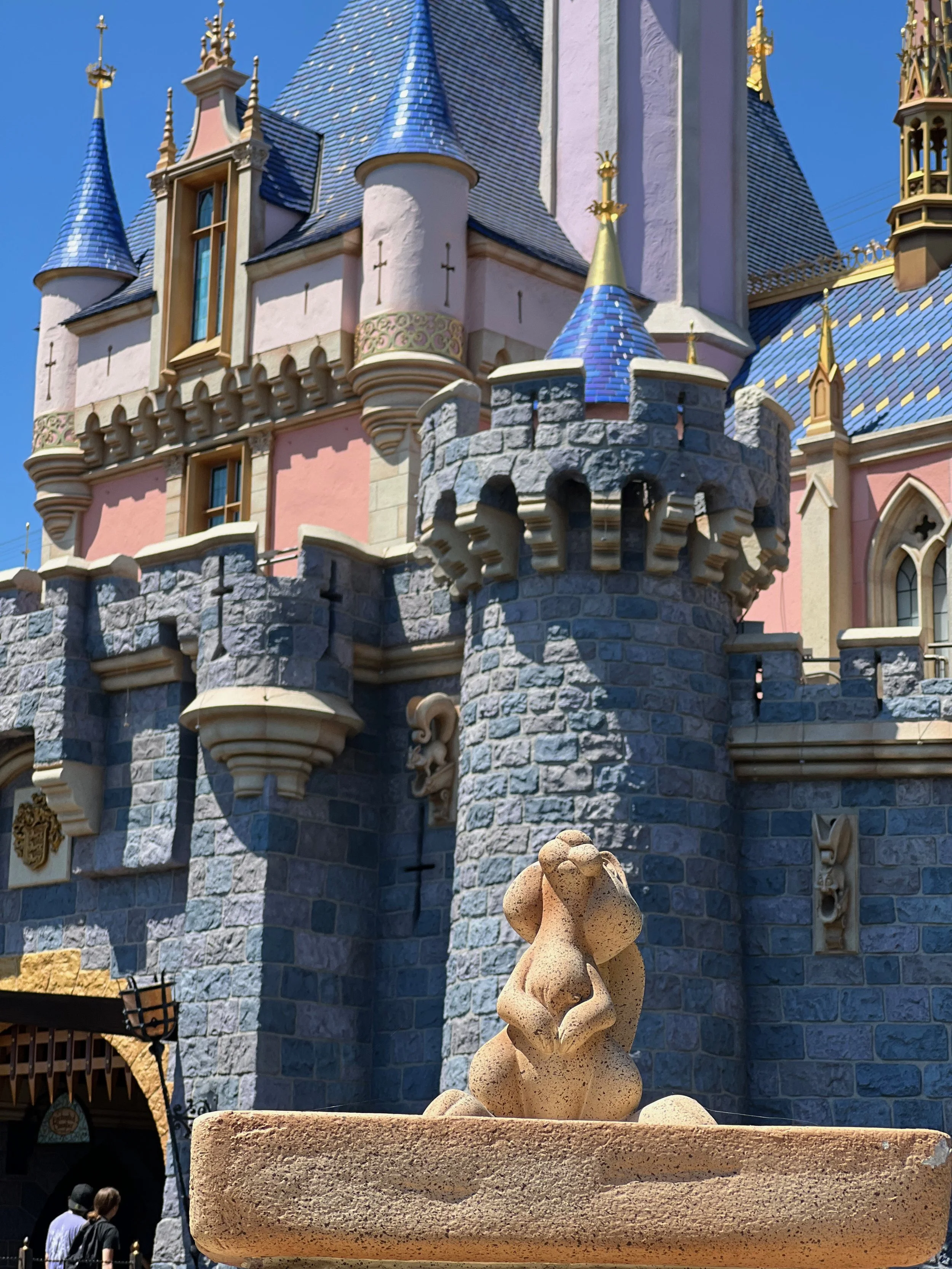 Don't Grow Up - Go to Disneyland!