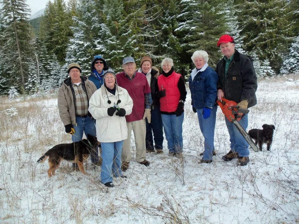 Christmas tree hunting