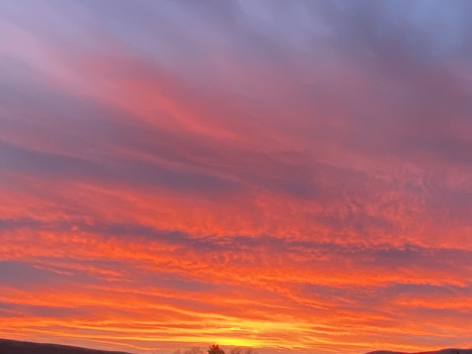 1F96B48D-3CED-4DF2-92A5-B978DA7F4E25 (1).jpeg