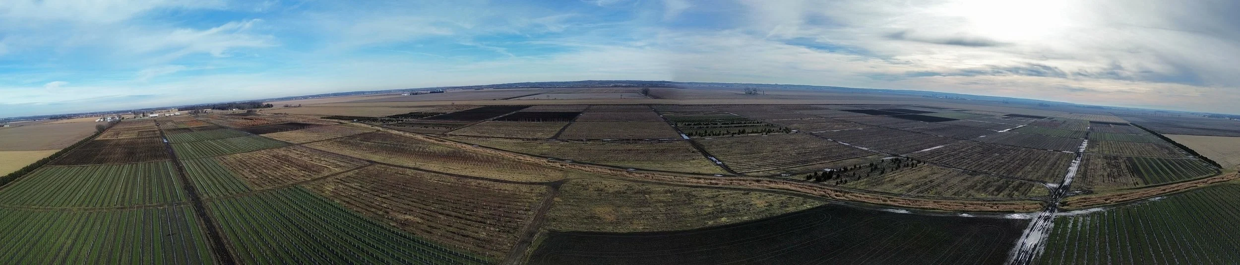 dji_fly_20231215_104102_10_1702659034591_pano_optimized.JPG