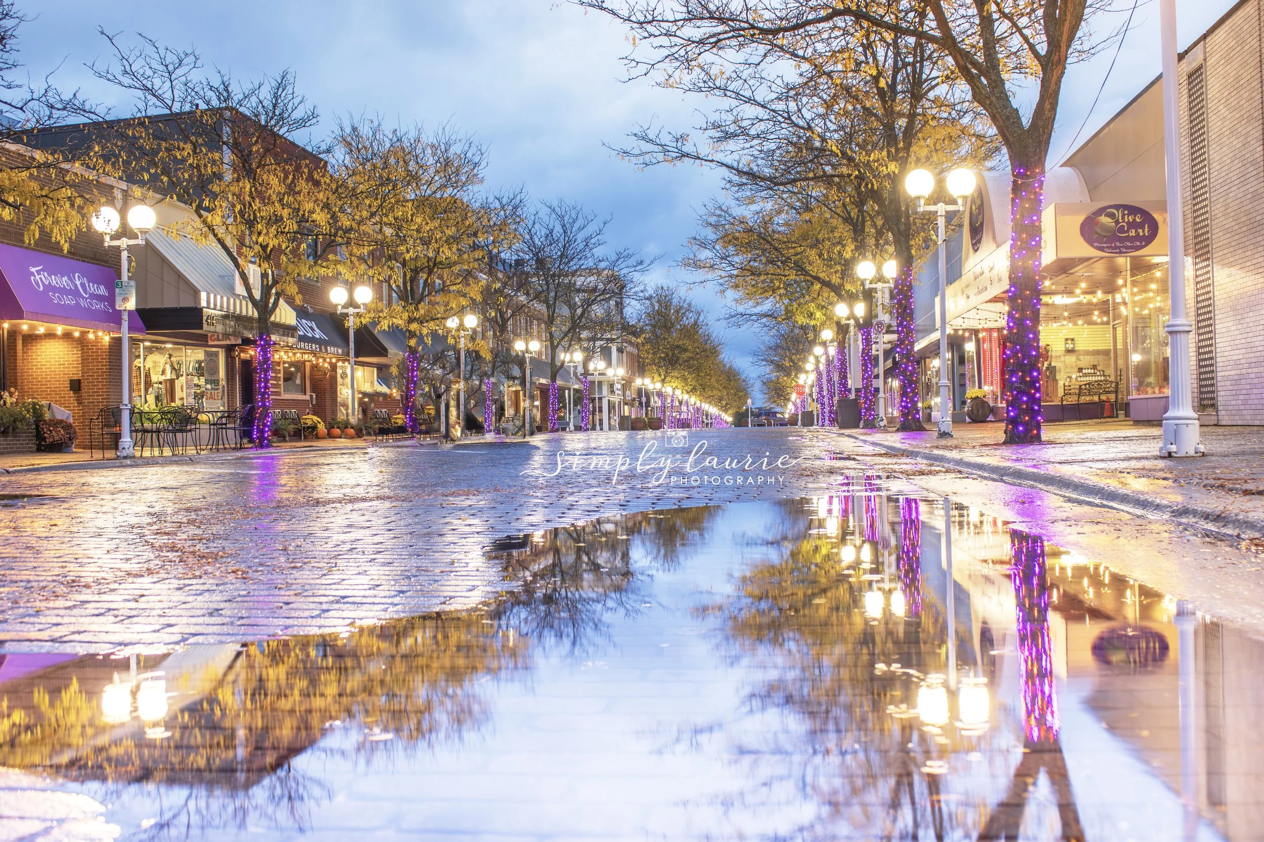 NEWFALL2025IMG_4774 copy 2.jpg