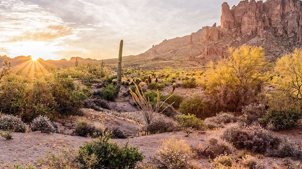 mental-health-court-pinal-county.jpg
