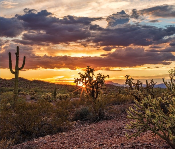 desert.jpg