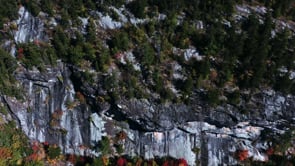 Come Fly With Me- Fall 2019- Groton VT
