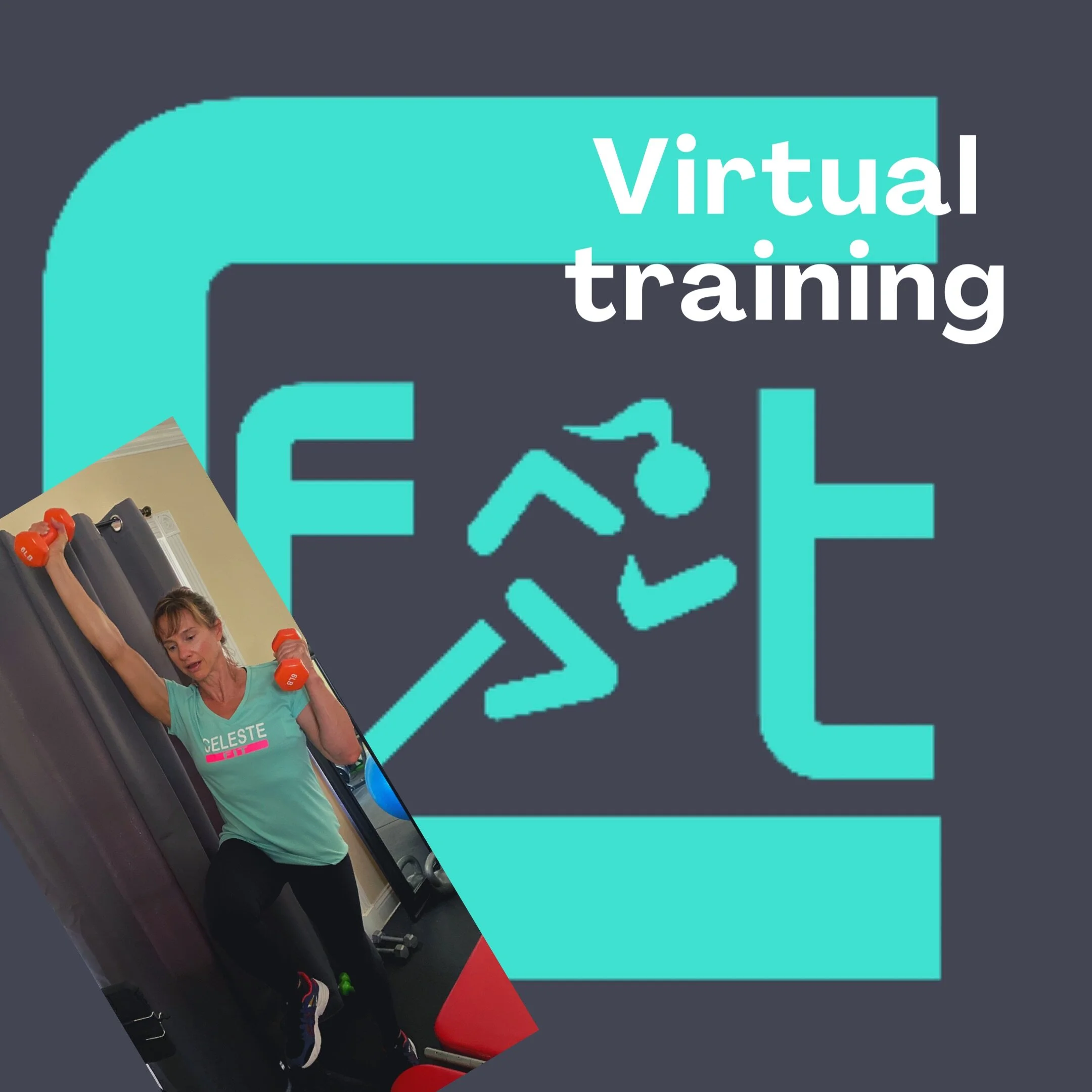 Virtual training.jpeg