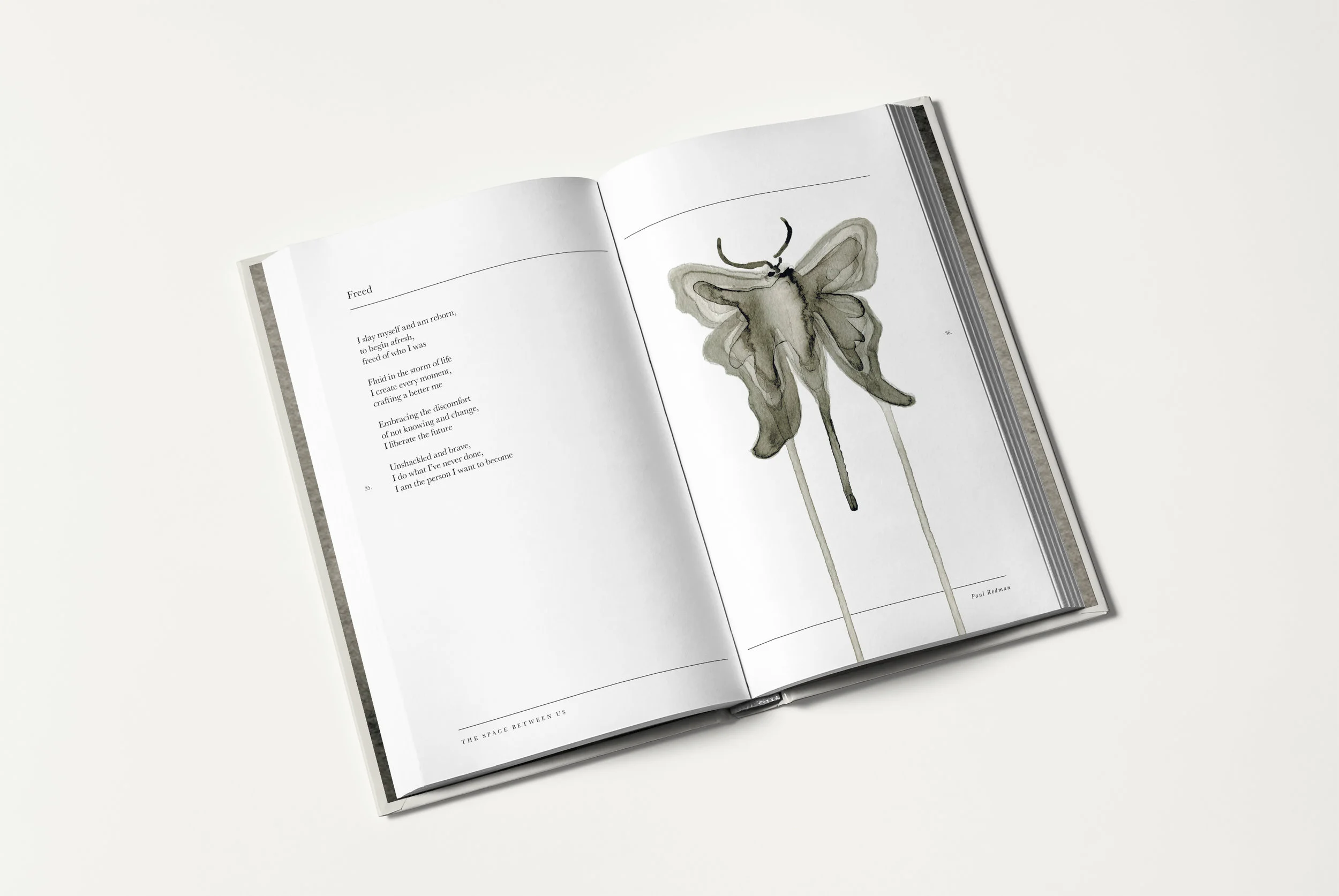 07_inside spread_ perspective_2.jpg