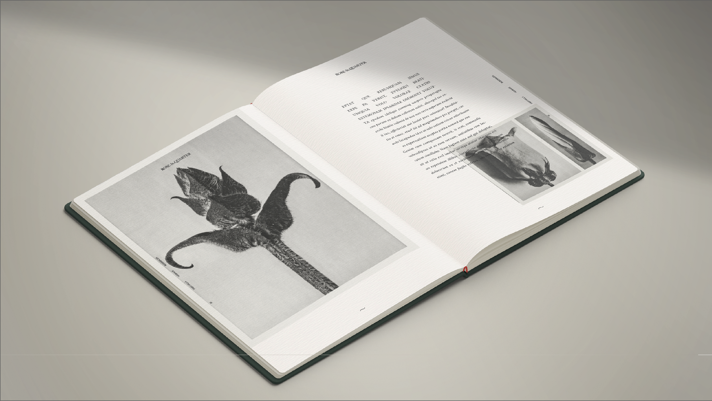 Screen Shot 2021-07-02 at 4.38.06 pm.PNG