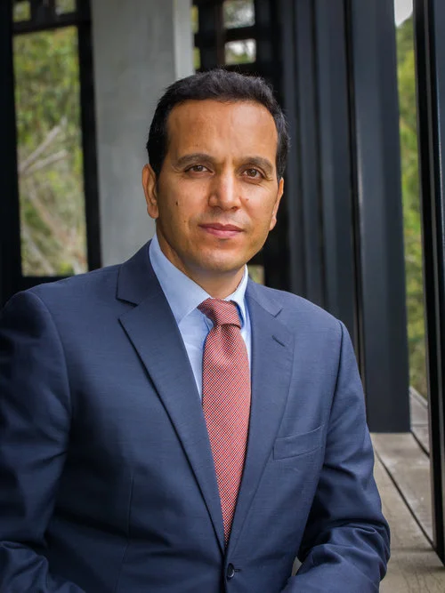 Fethi Mansouri.jpg