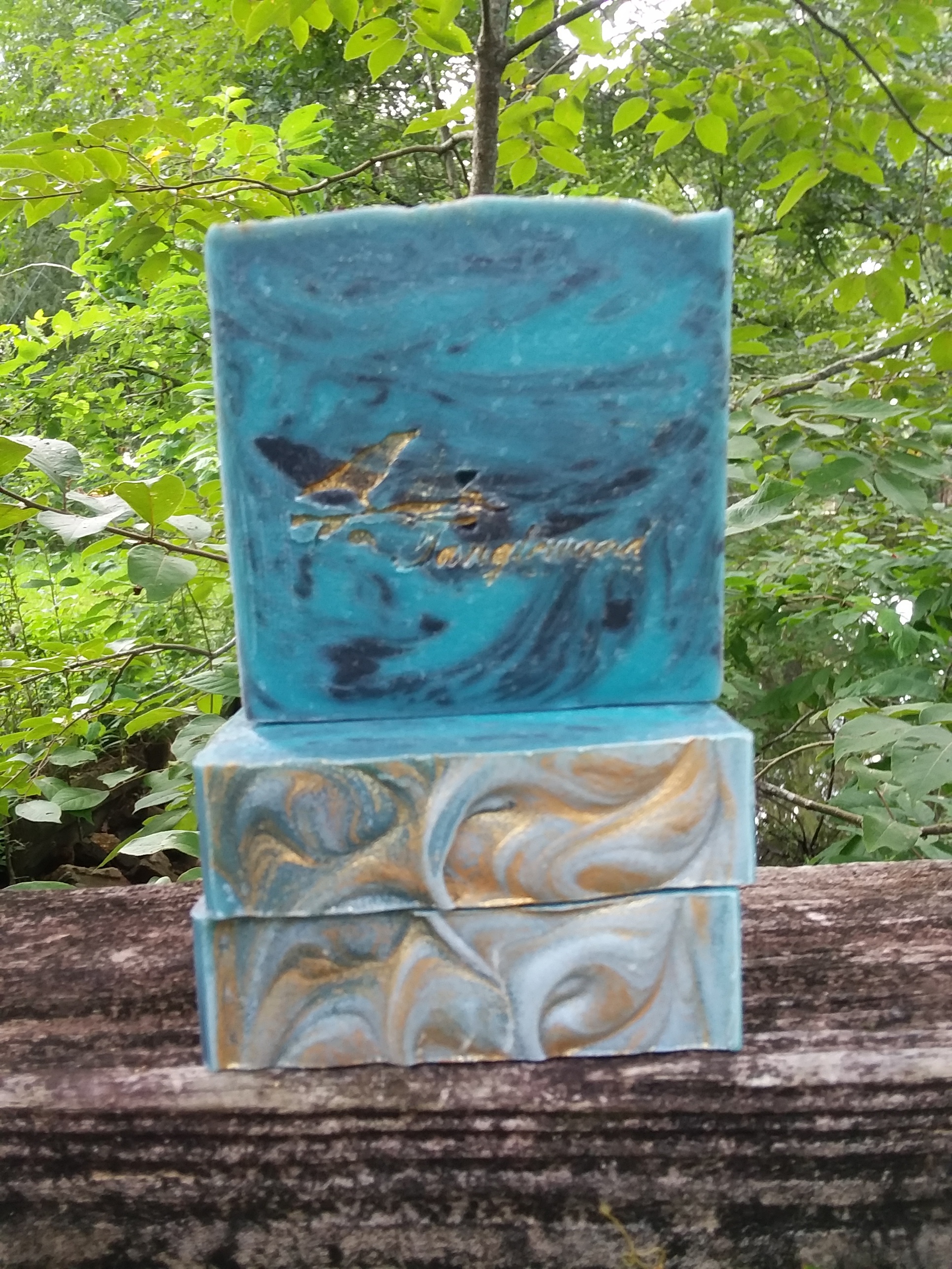 20190819_091734.jpg