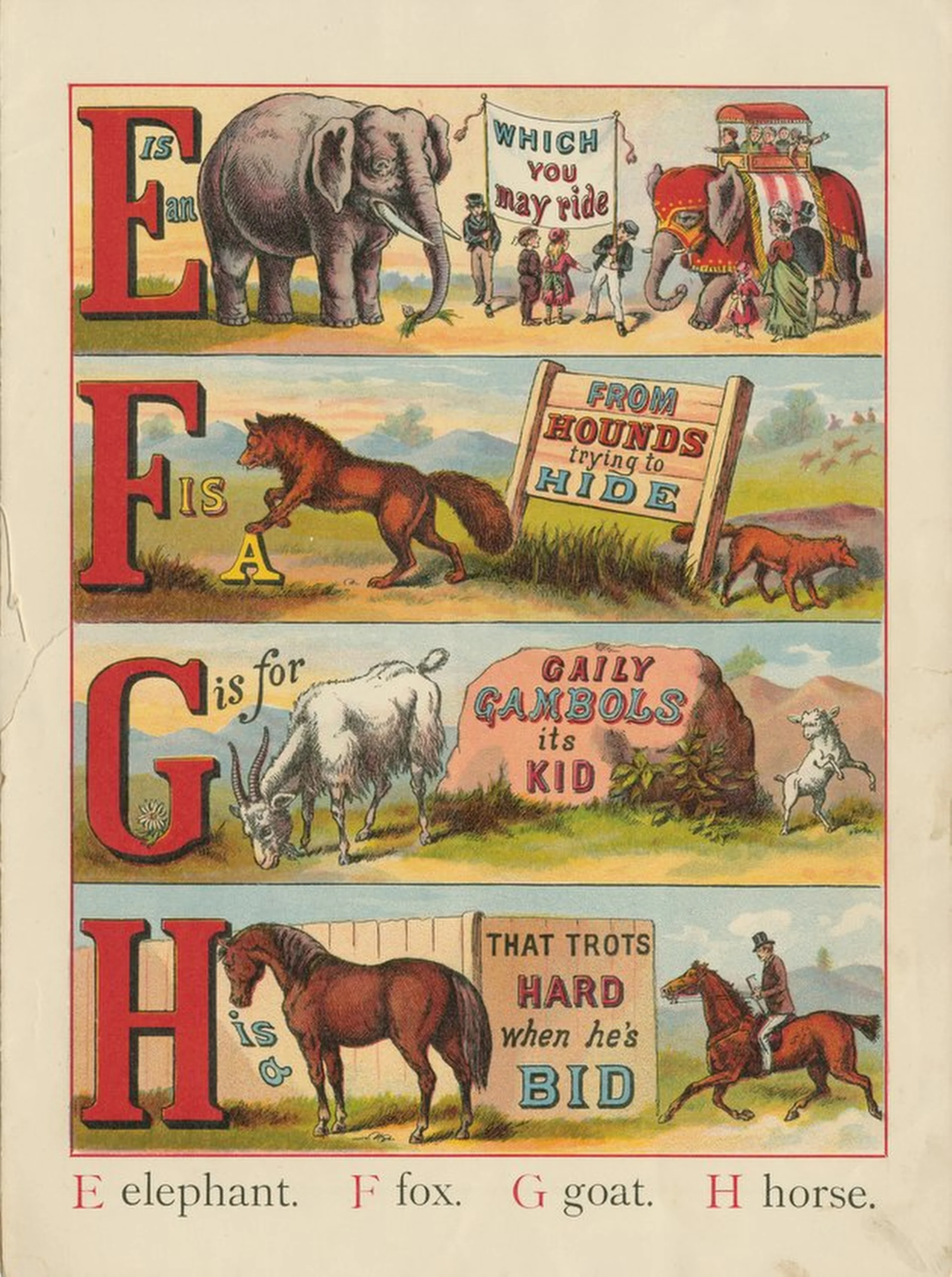 Animal abc efgh.jpg