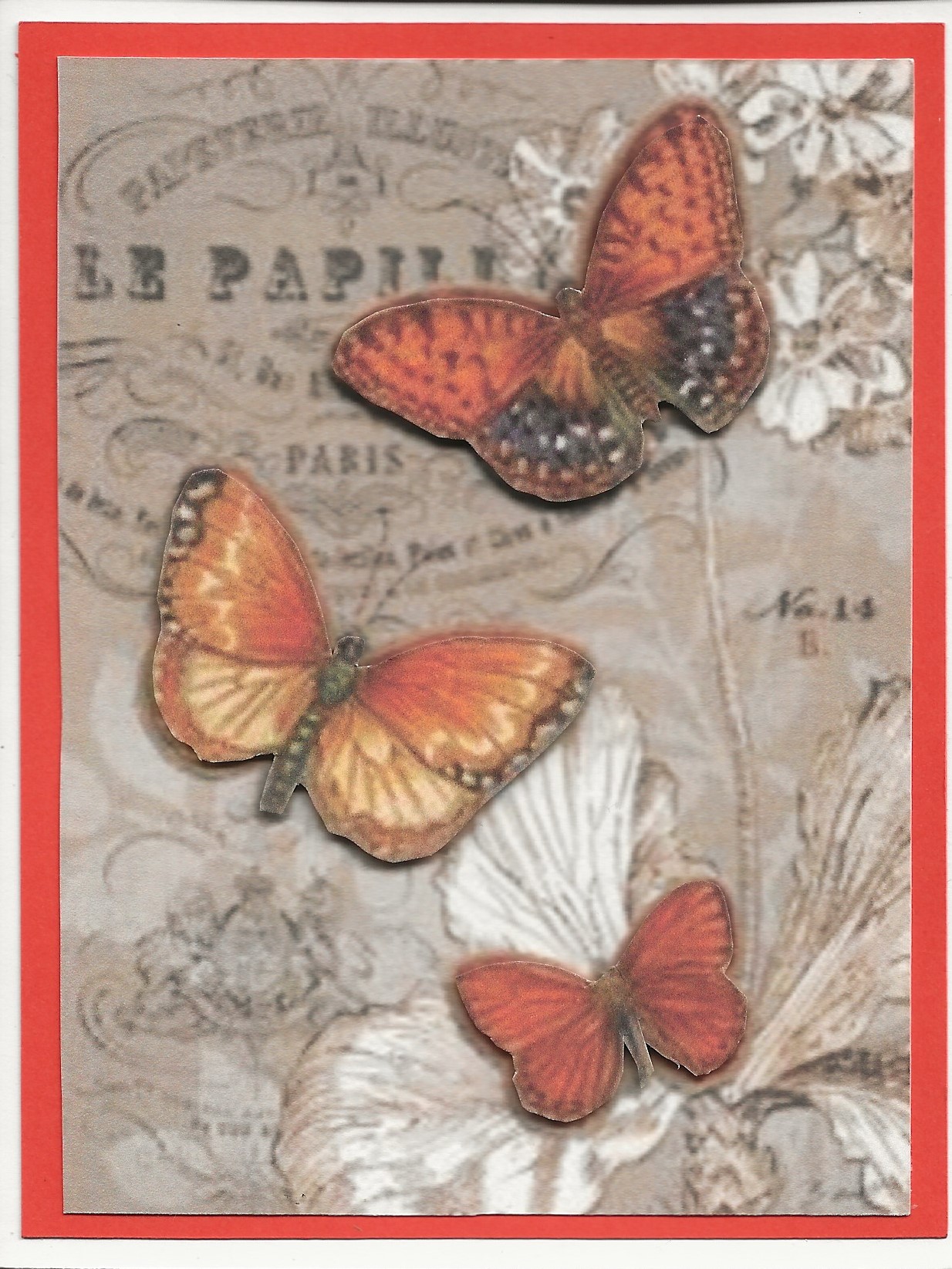 Le Papillon