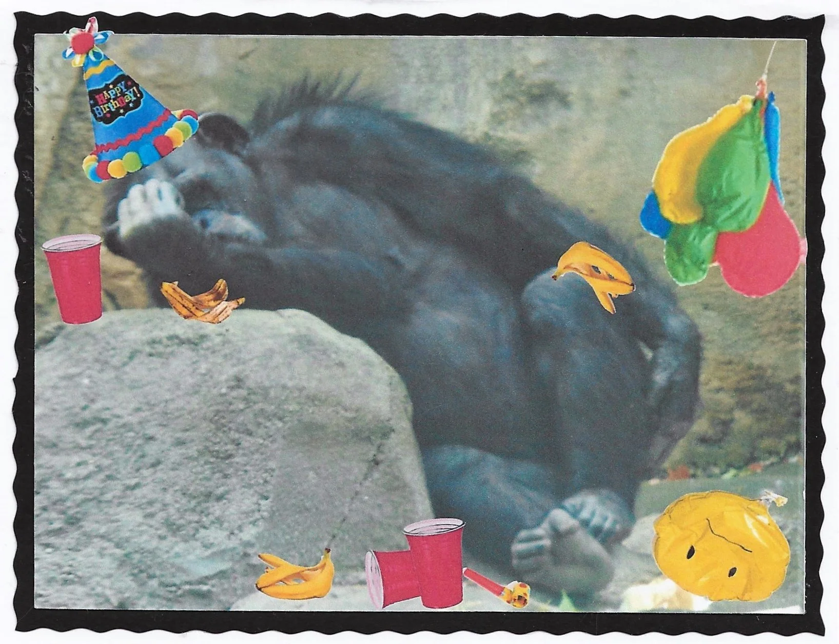 Gorilla birthday