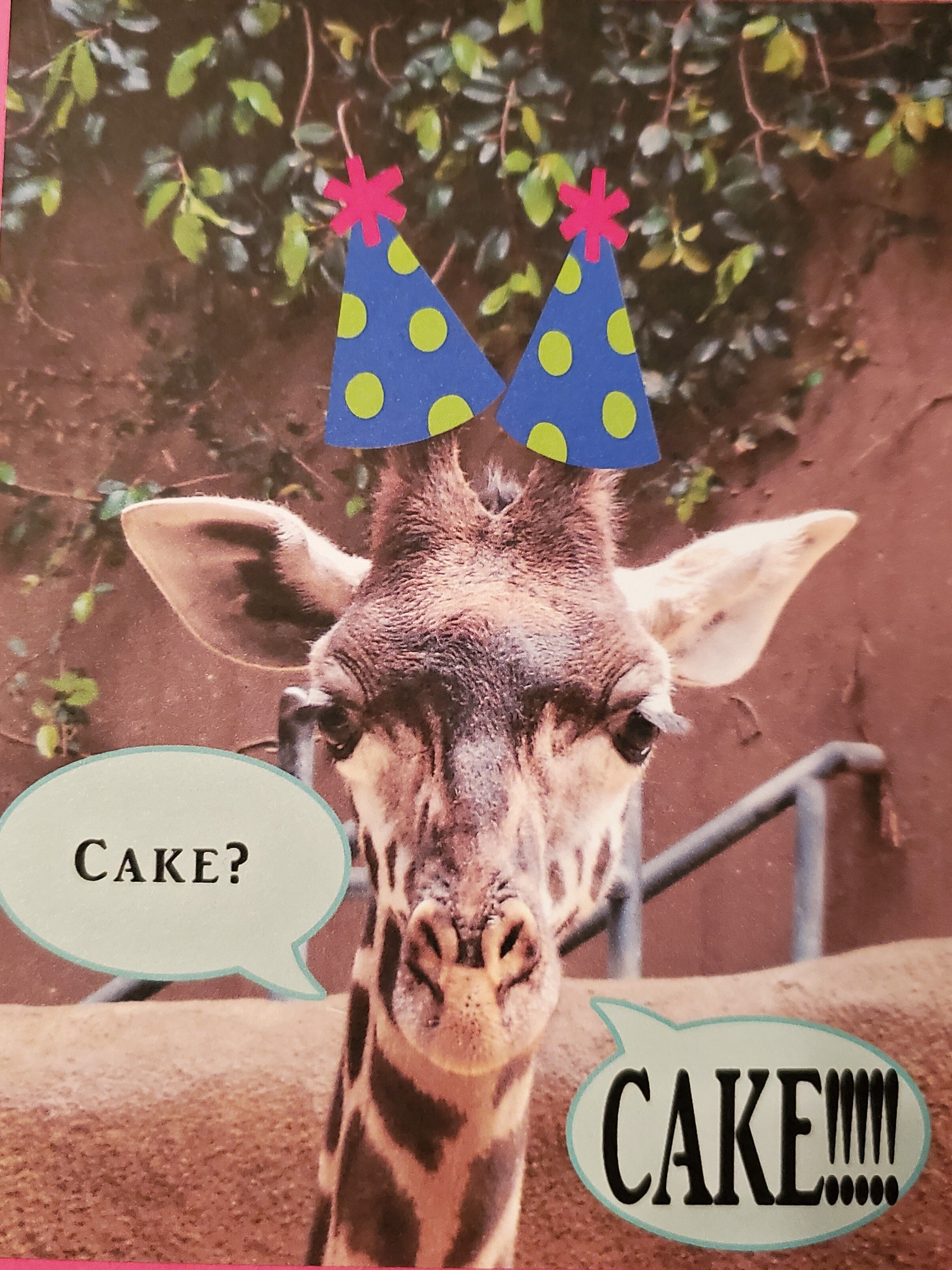 Giraffe Birthday "Cake???!!!"