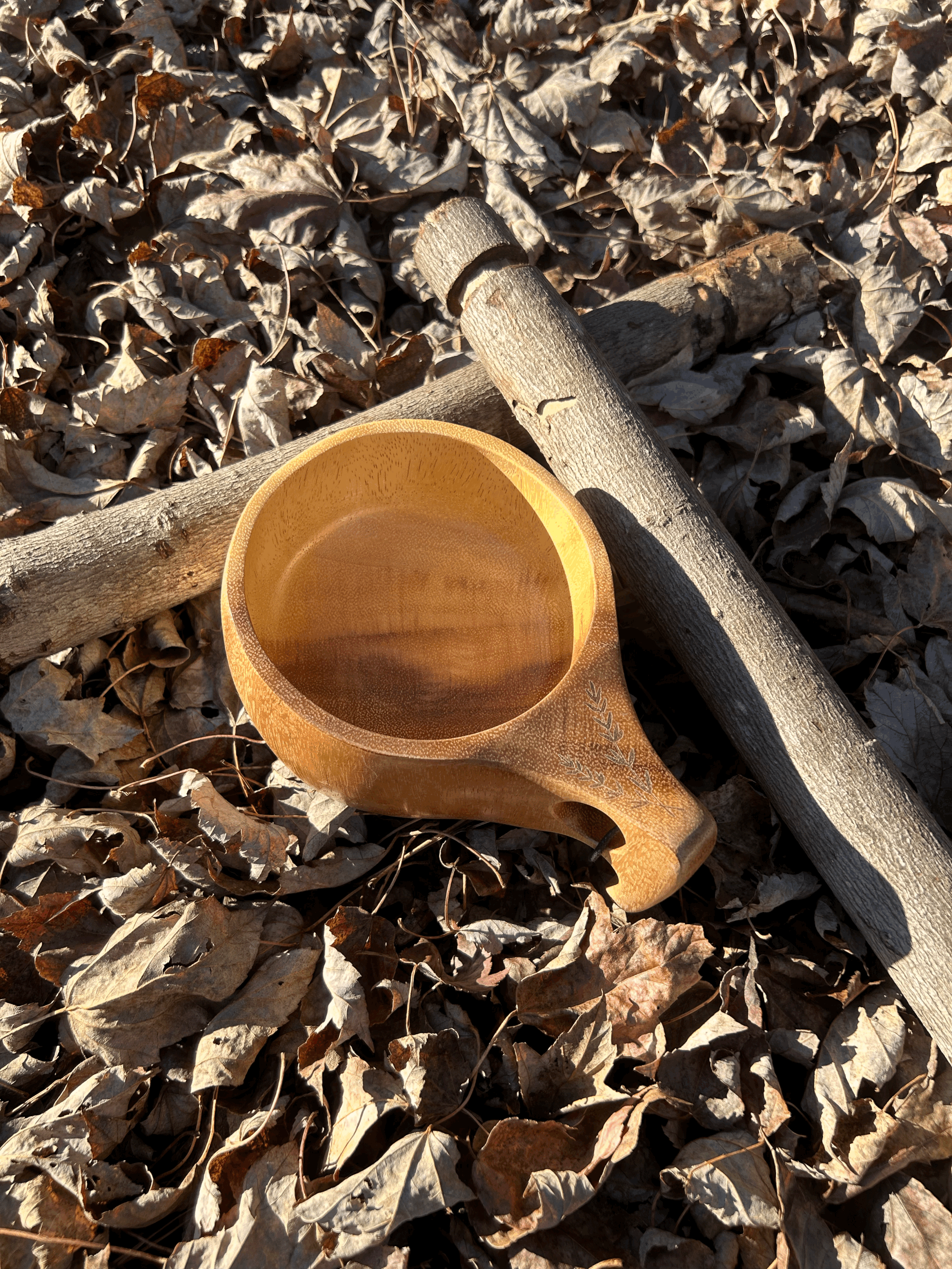 tempImagequtExw.gif