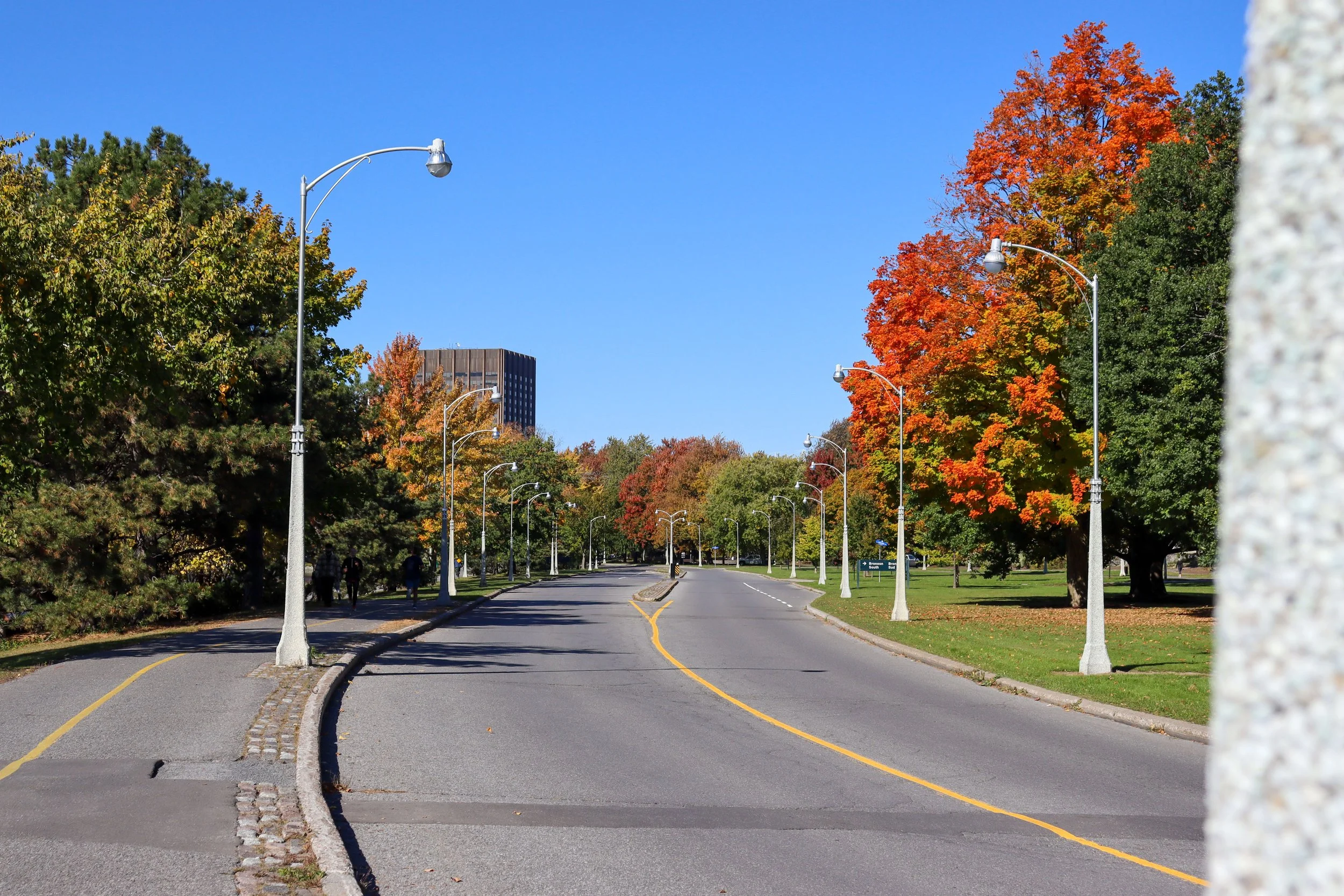 20241017-Canal-Lighting-Replacement-27.jpg