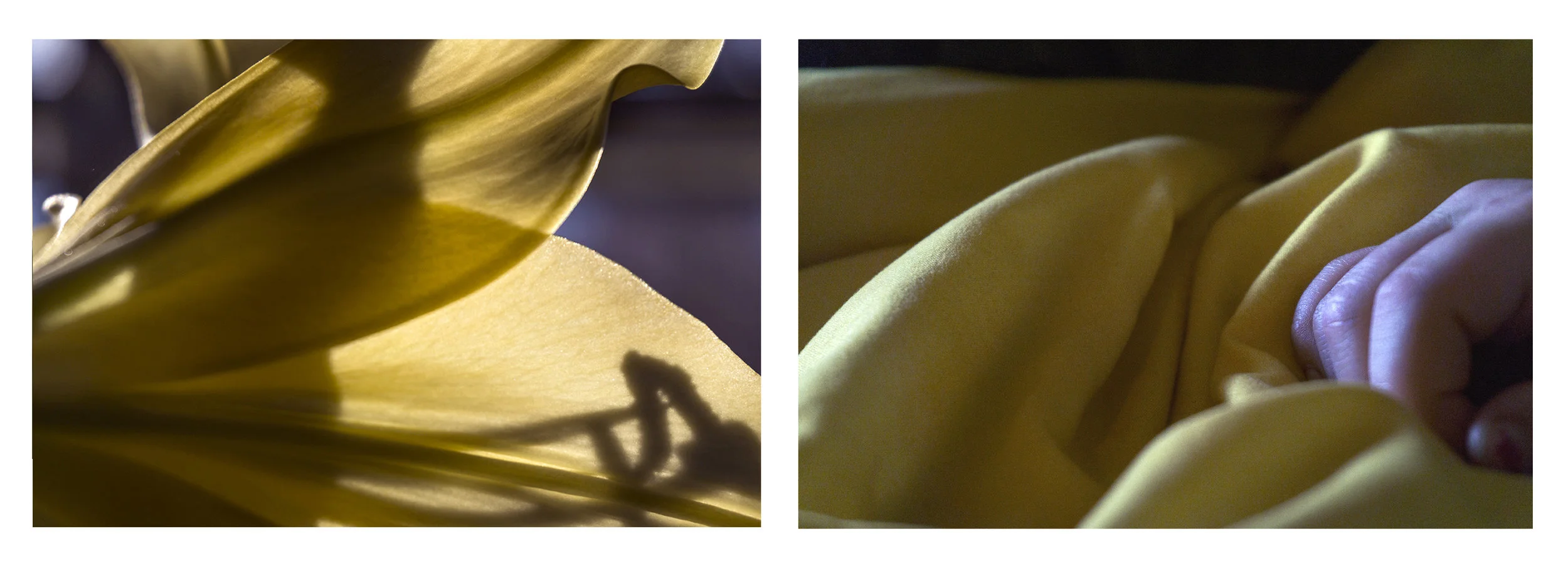 She was All Yellow Too
