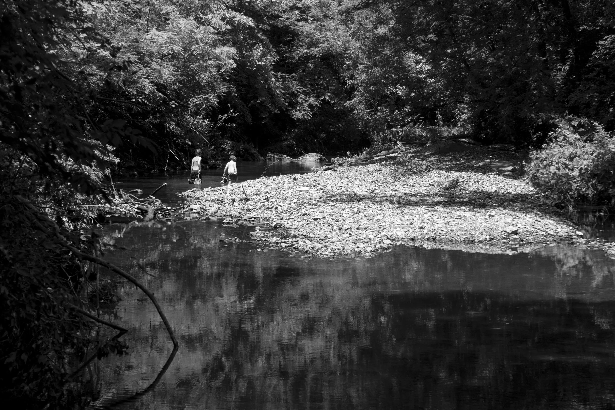 Cloister Creek II