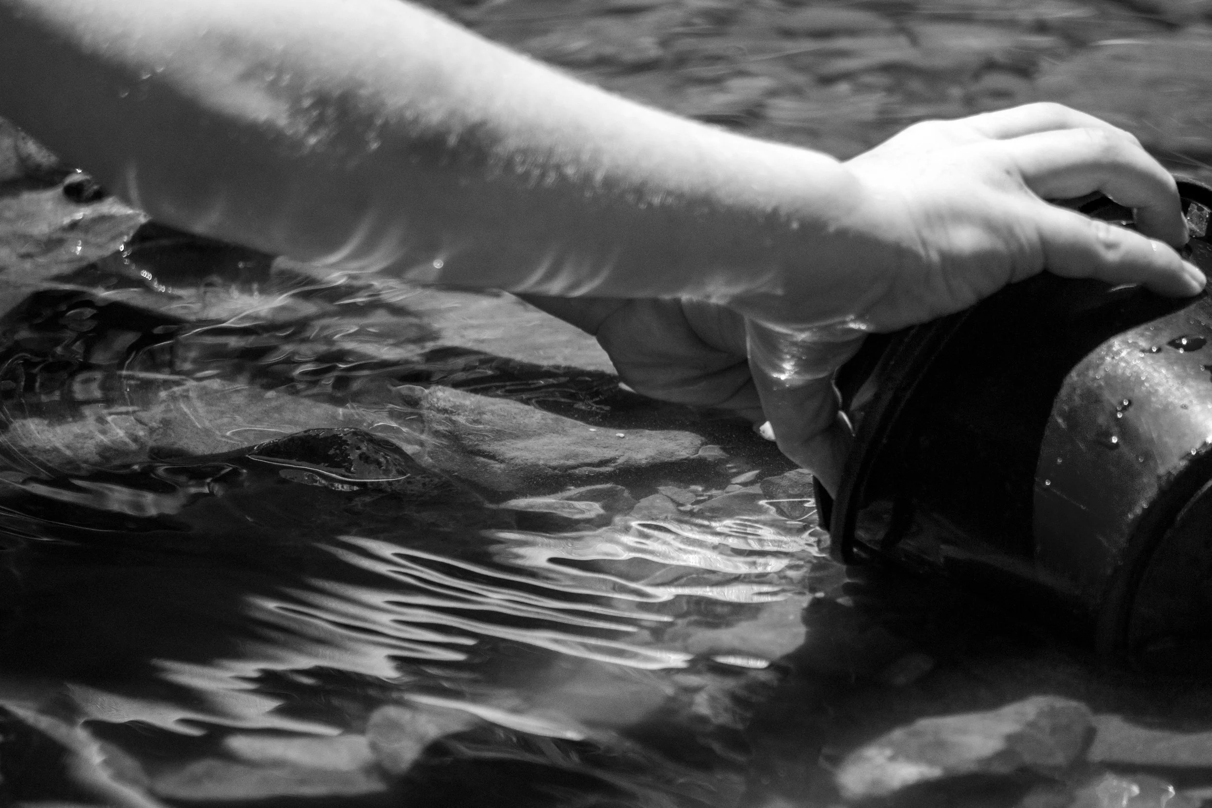 Making Waves