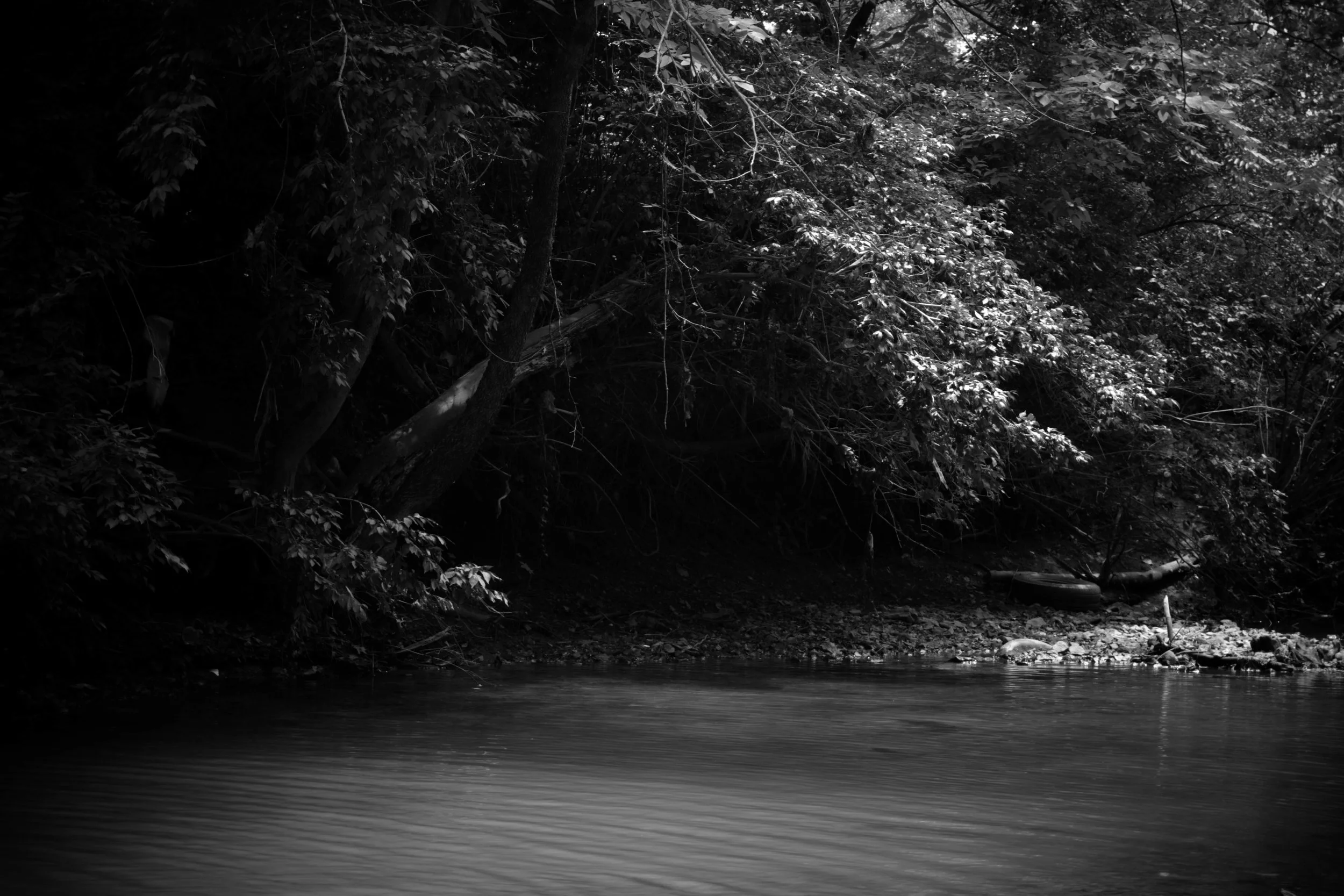 Cloister Creek I