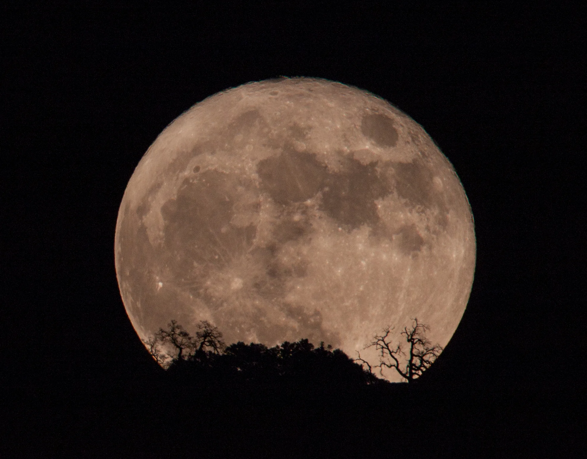 Moonrise