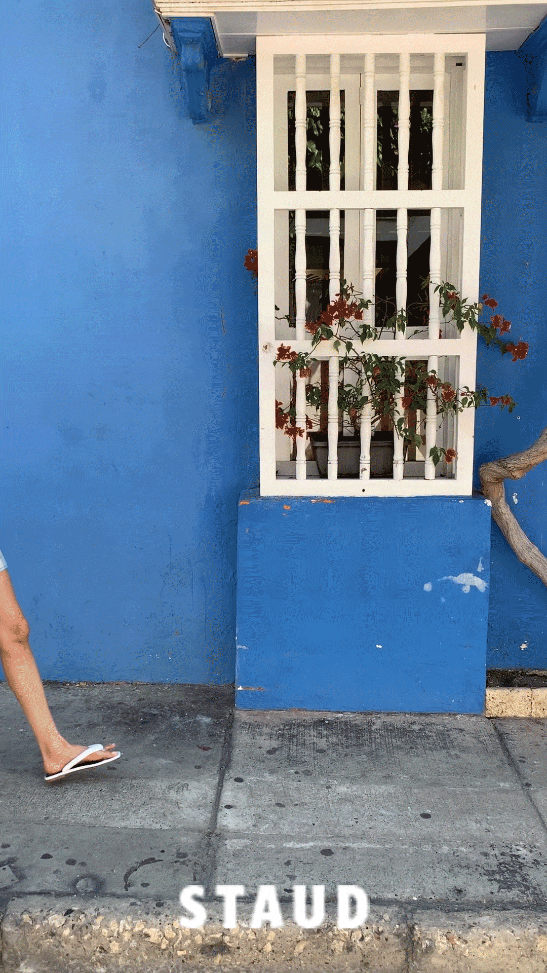 Staud-min.gif