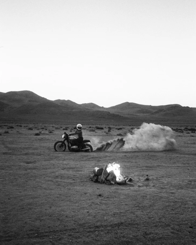 WILD AMERICA