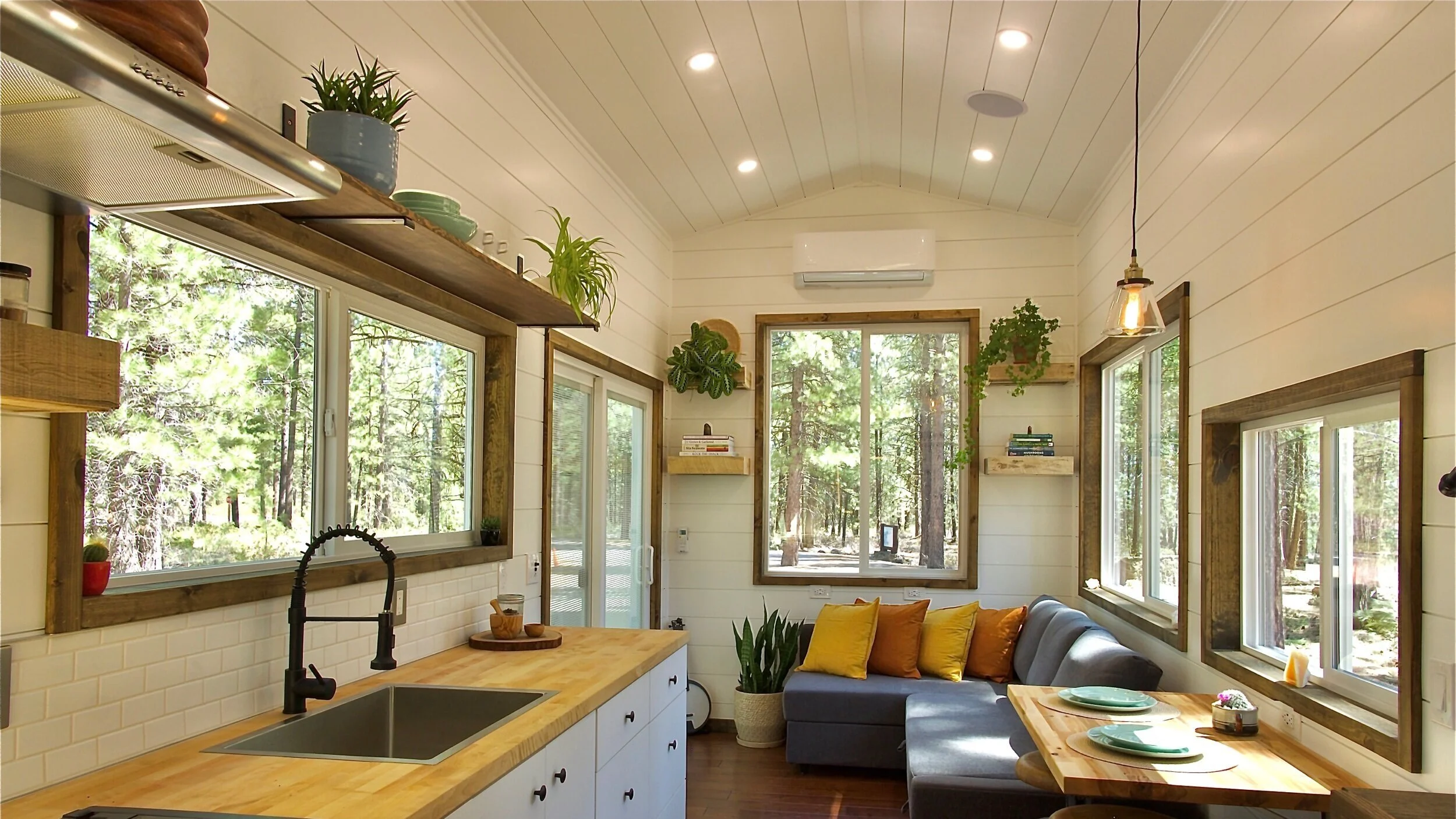 How to grow an indoor jungle for your modern tiny home
