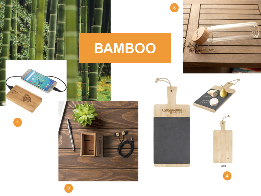 The-Icebox_Guides-Bamboo.001.jpeg