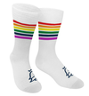 Custom Pride Socks — The Icebox
