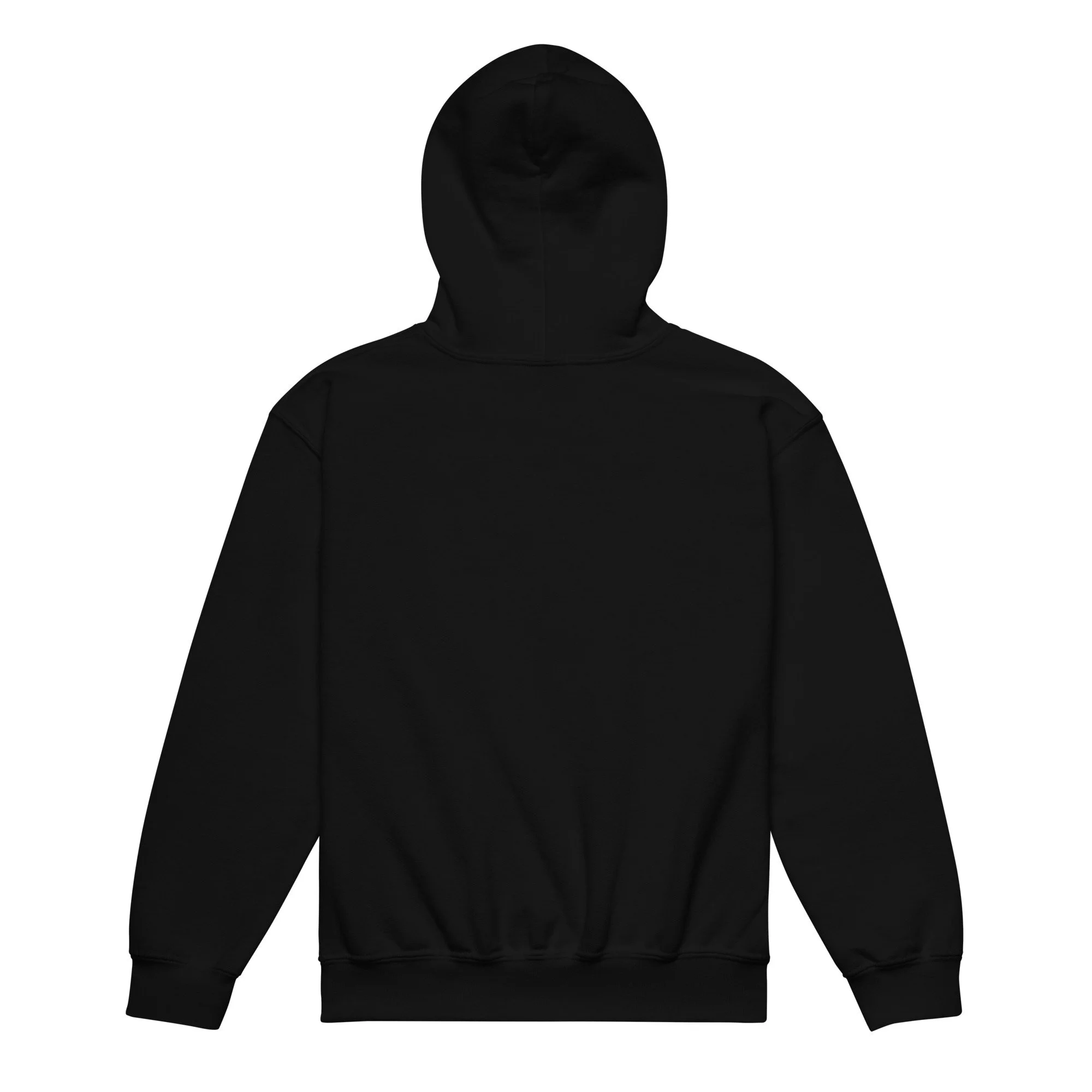 youth-heavy-blend-hoodie-black-back-6a434f9d824b0.jpg