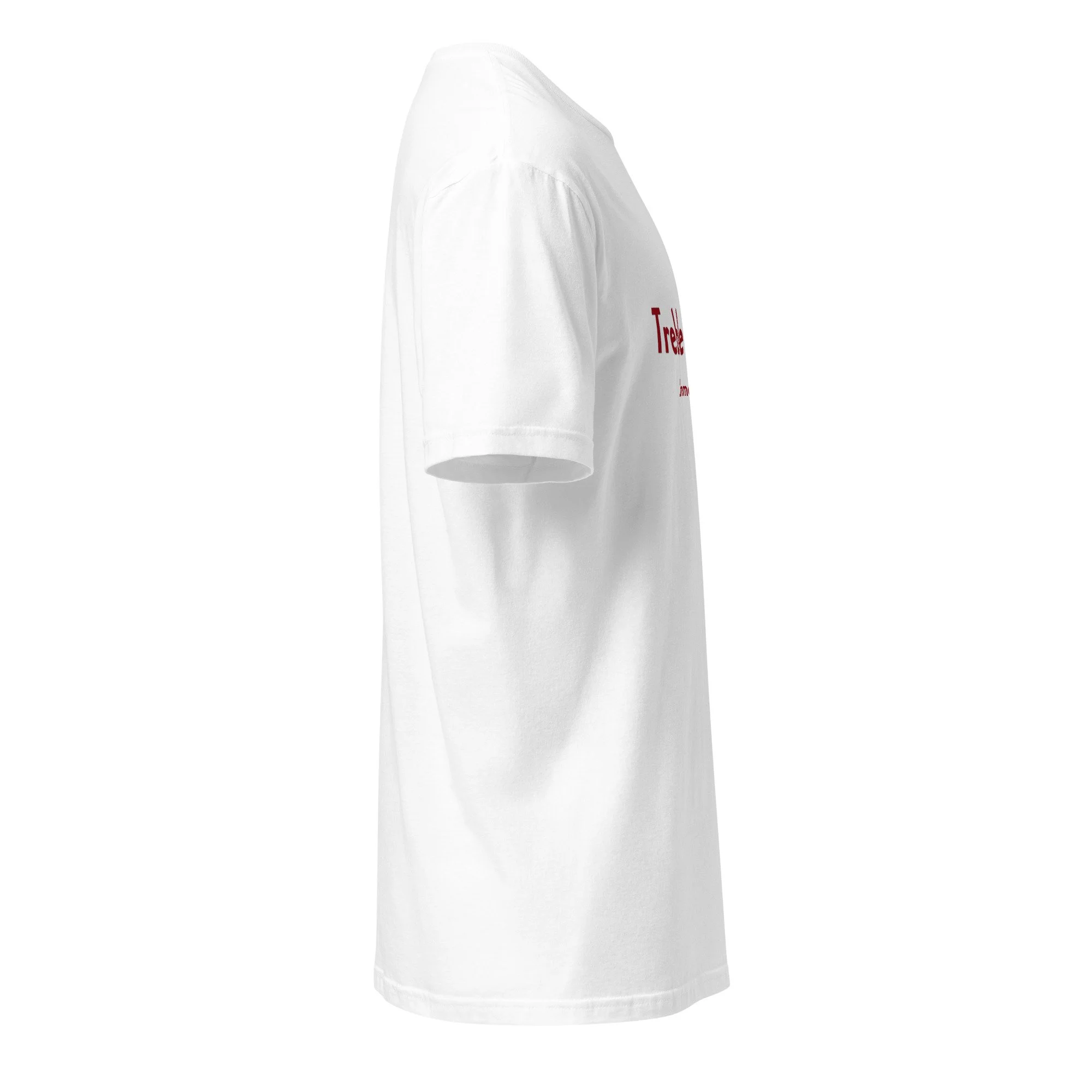 unisex-basic-softstyle-t-shirt-white-right-6a43e7ecd18b4.jpg
