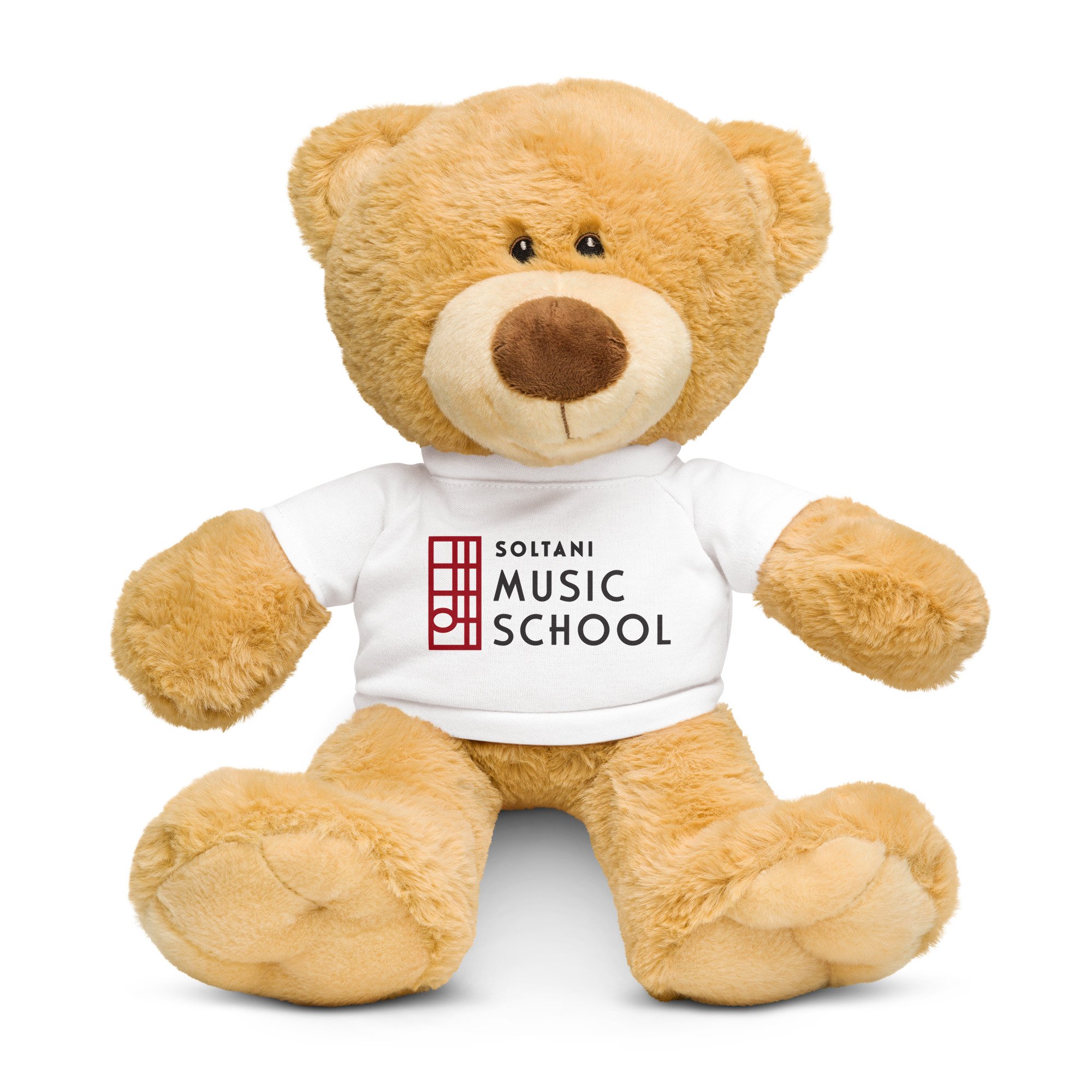 teddy-bear-with-a-t-shirt-white-front-6a6be2e31b9db.jpg
