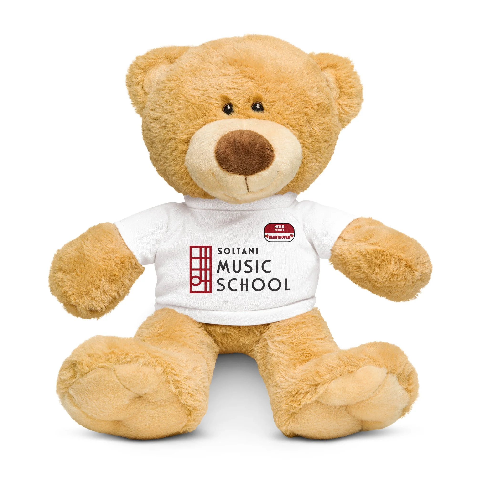 teddy-bear-with-a-t-shirt-white-front-6a7bdaf2476d7.jpg