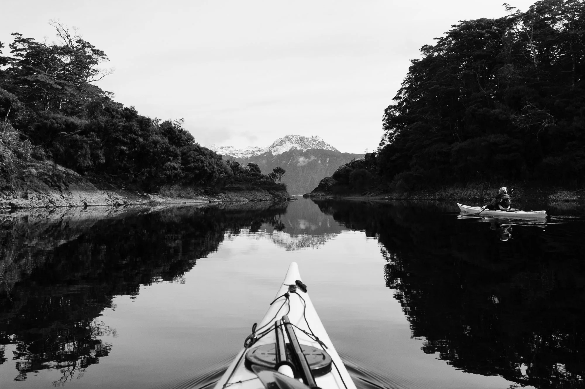 Fiordland National Park, New Zealand. © www.thomaspickard.com