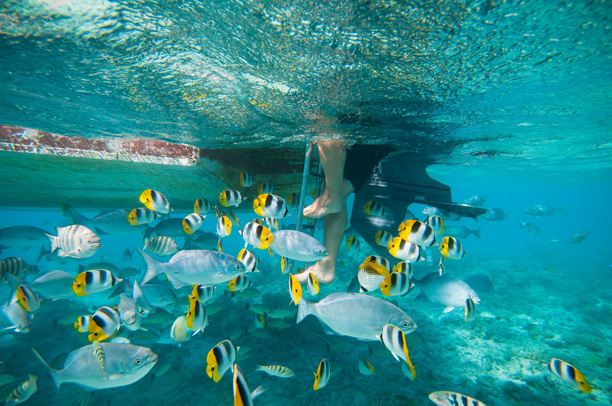 Cook Islands. © www.thomaspickard.com