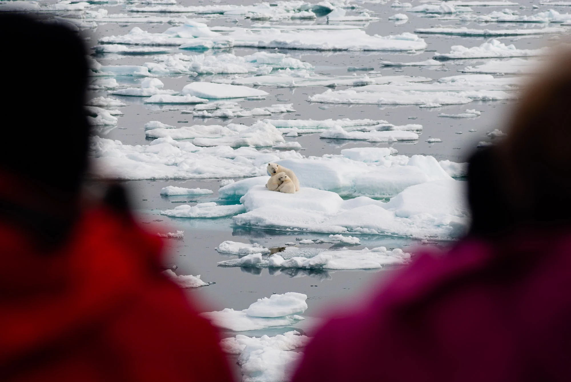 Svalbard, Norway. © www.thomaspickard.com