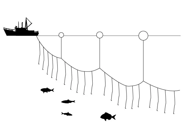 longline.jpg