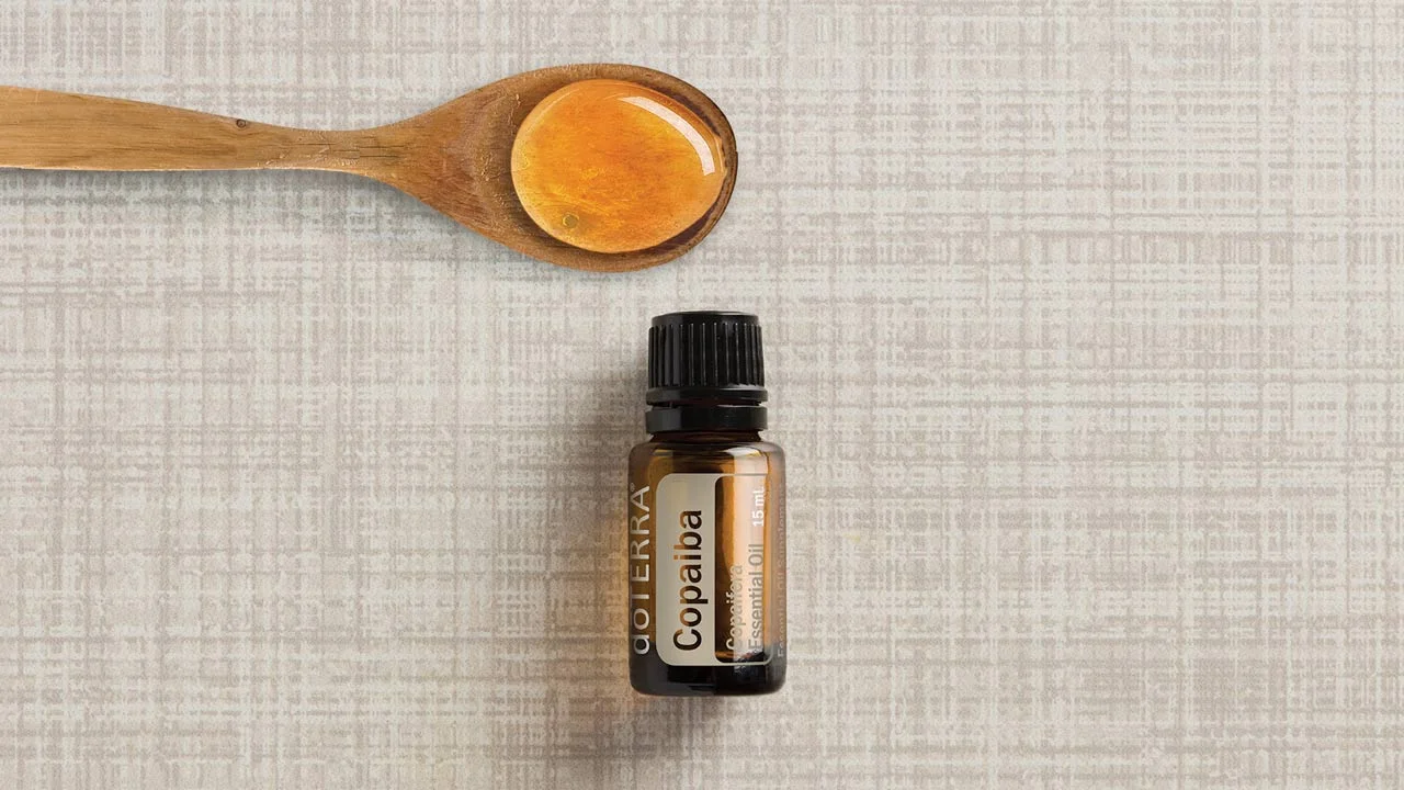 16x9-copaiba-product-blog-us-english-web.jpg
