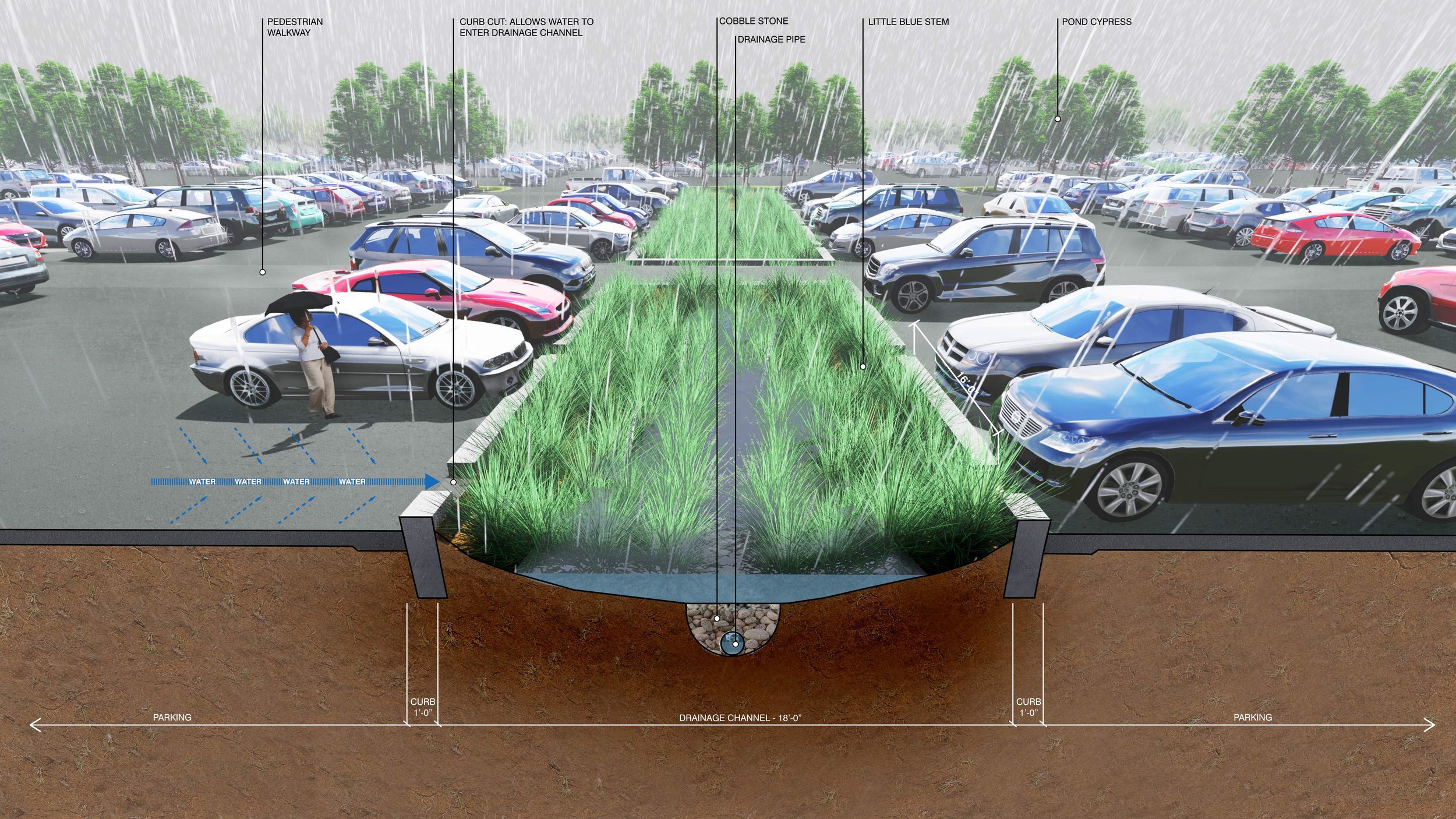 SARACEN BIOSWALE DIAGRAM_R2.jpg
