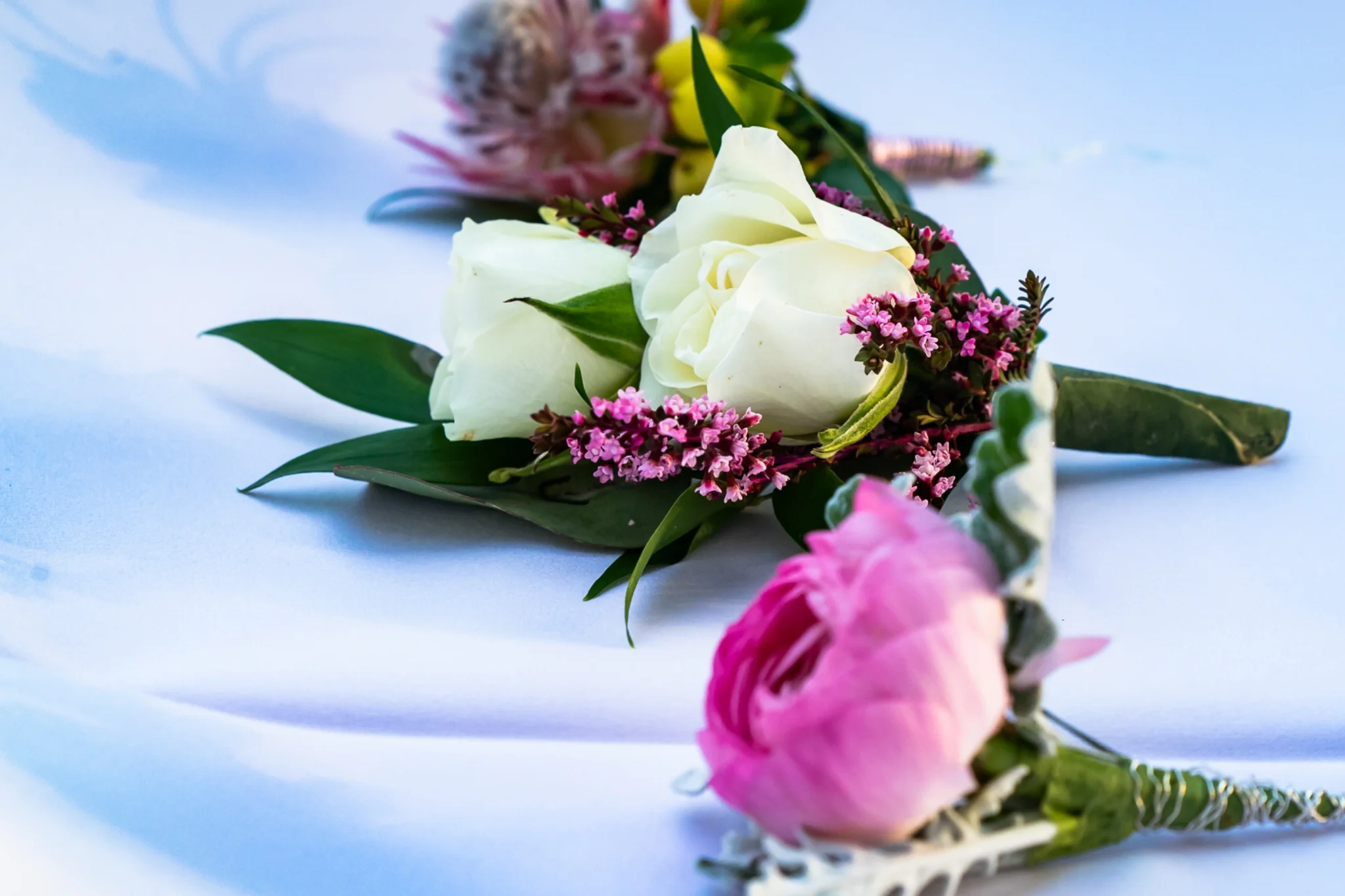 Josh Ryder - Flowers2-11.jpg
