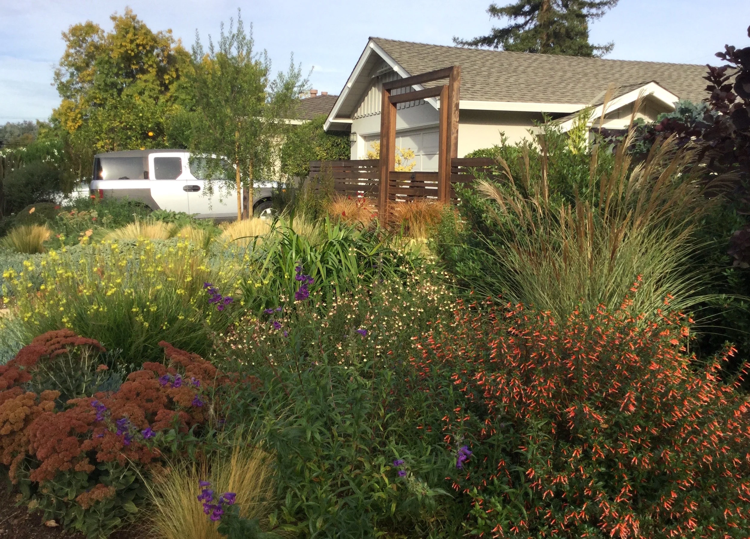 2025HD FRONTYARD2.jpg