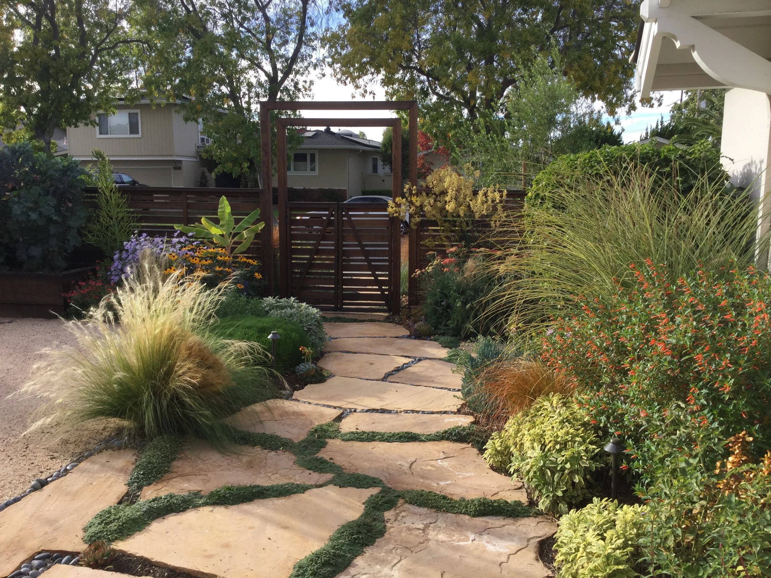 2025HD FRONTYARD3.jpg