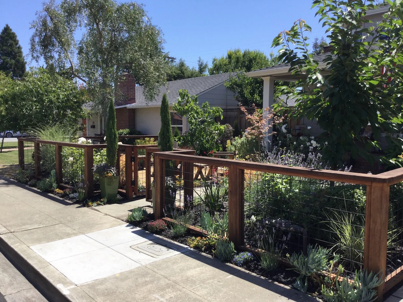 1921EA FRONTYARD1.jpg