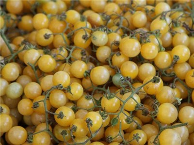 White Currant Tomato (photo courtesy from Baker Creek )