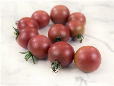 Rosella-Tomato.jpg