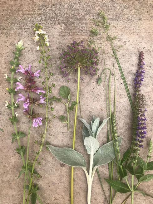 From the Garden: May 19, 2019